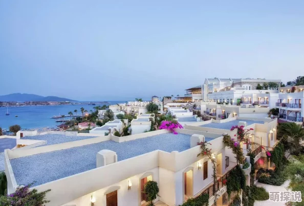 亚欧乱色精品免费观看:最新动态揭示了该系列的热播情况及观众反馈,吸引了更多粉丝关注与讨论 亚欧乱色精品免费观看:最新动态揭示了该系列的热播情况及观众反馈,吸引了更多粉丝关注与讨论