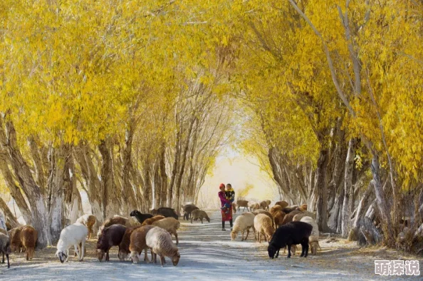 探索亚洲毛茸茸文化的独特魅力:一组令人惊艳的图片展示与分享 探索亚洲毛茸茸文化的独特魅力:一组令人惊艳的图片展示与分享