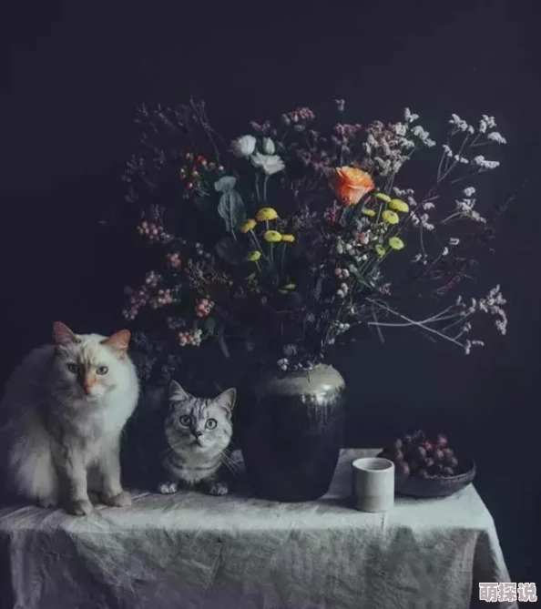 探索亚洲毛茸茸文化的独特魅力:一组令人惊艳的图片展示与分享 探索亚洲毛茸茸文化的独特魅力:一组令人惊艳的图片展示与分享