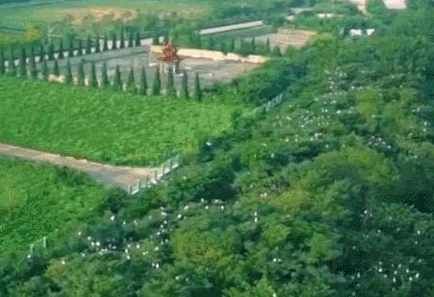 在天堂爱中绽放：探索灵魂深处的浪漫与永恒的情感交织