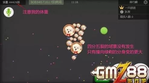 球球大作战：单人单刷上榜心得技巧全面解析与实战分享攻略