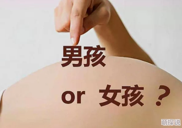 男人和女人插插，真是一个引人深思的话题，探讨性别关系的复杂性