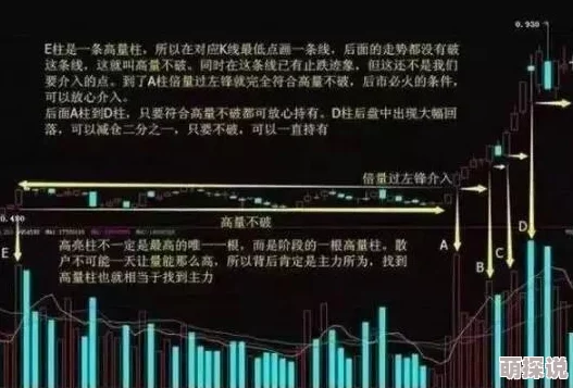 8月4日精准蛋池深度分析：UP内装备详解，探索外围更优质选择指南