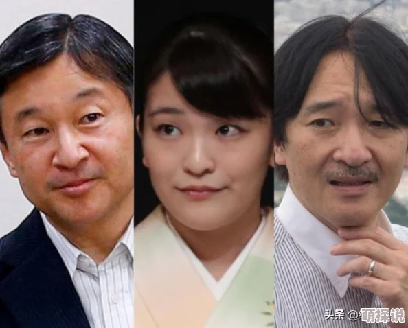 疯狂主妇第一季网友认为这部剧通过幽默的方式揭示了家庭生活的复杂性，角色塑造鲜明，引发了广泛共鸣和讨论