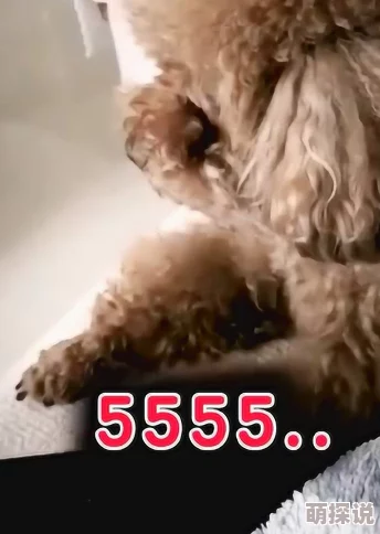啊用力太猛了啊好深视频惊爆！网友热议这段视频引发的强烈反响让人意想不到，真相竟然是……