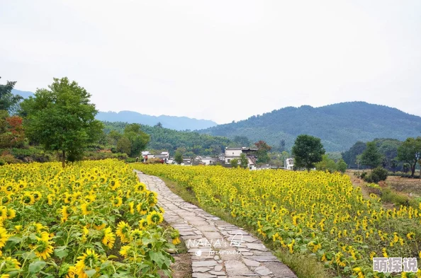 天堂之心新手必备攻略：揭秘如何快速提升战力，轻松超越众人成为顶尖玩家