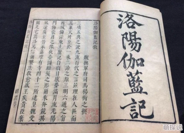 问道手游重大更新：法宝系统正式上线，全面解析全新玩法详细介绍