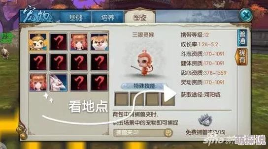 问道手游两周年庆典：珍稀宠物白灵迅影限量发放，解锁攻略大揭秘！