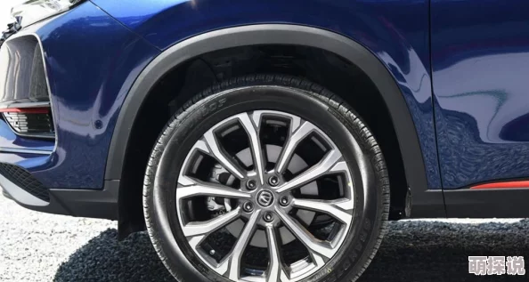 国产精品suv一区二区汇集国内顶级SUV车型展示