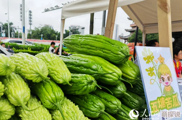 苦瓜网月华宴歌 苦瓜网月华宴歌