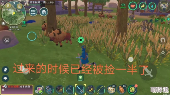 创造与魔法游戏攻略：小麦资源分布全解析，快速找到小麦采集点指南