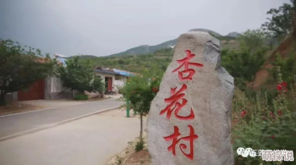 微杏十年app十年出品老它1让我们一起追求梦想勇敢前行创造美好未来