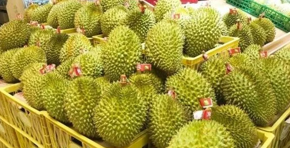 榴莲视频成人生活充满希望与美好，积极向上才能迎接更好的明天