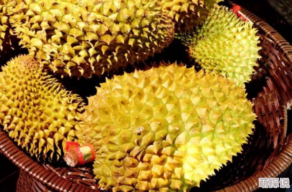 榴莲视频成人生活充满希望与美好，积极向上才能迎接更好的明天