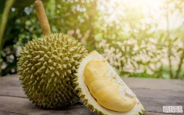 榴莲视频成人生活充满希望与美好，积极向上才能迎接更好的明天