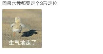 枯瘦娇小团宠老妈惹不起积极向上勇敢追梦幸福生活从此启航 枯瘦娇小团宠老妈惹不起积极向上勇敢追梦幸福生活从此启航