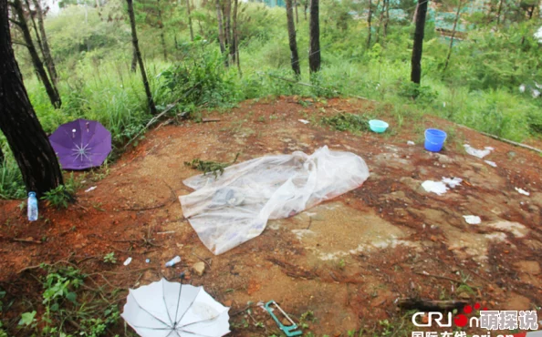 美腿丝袜美女被强公交车警方已介入调查案件正在进一步侦办中