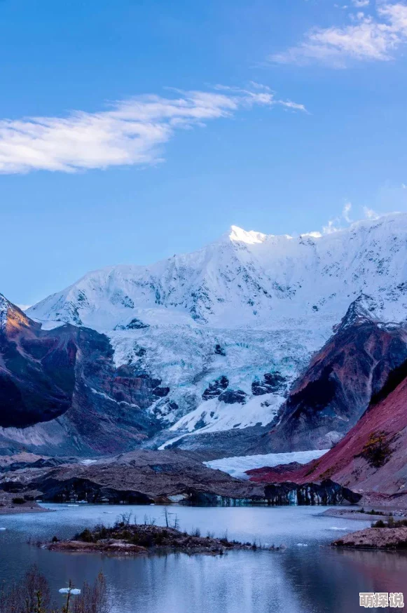《封神幻想世界》奇遇任务16攻略揭秘：健忘大婶背后的惊喜消息与通关秘籍