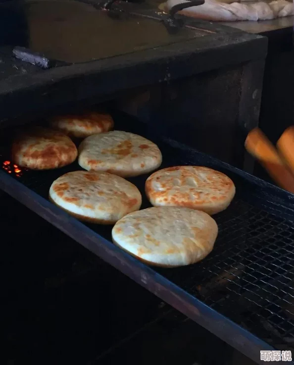 在路上旅游nhp探索隐藏的美丽小镇和独特的地方美食 在路上旅游nhp探索隐藏的美丽小镇和独特的地方美食