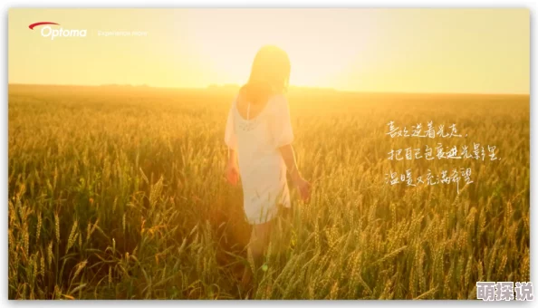 夜温言生活中总有阳光洒落在心间让我们勇敢追梦拥抱每一个美好瞬间 夜温言生活中总有阳光洒落在心间让我们勇敢追梦拥抱每一个美好瞬间