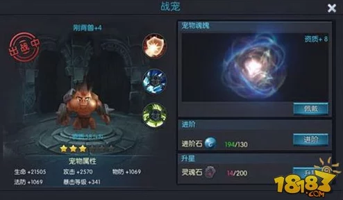 造梦无双：热门宠物获取技巧与高效培育方法深度解析