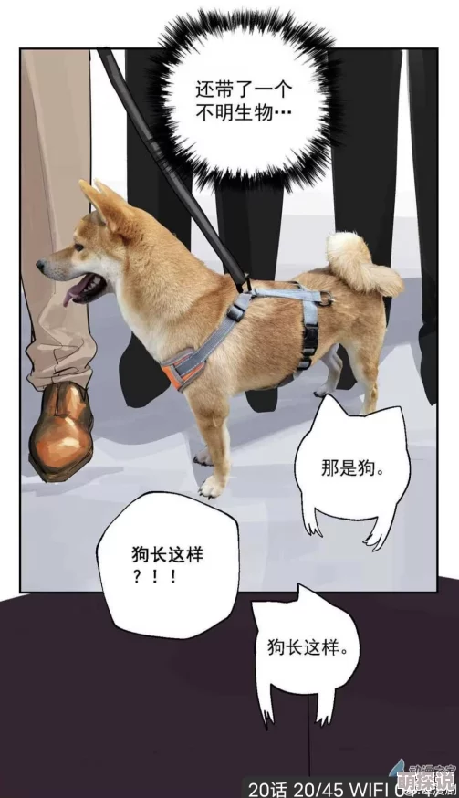 初犬漫画可爱狗狗的日常等你来看
