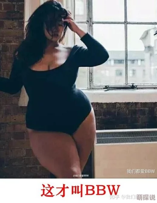 free性满足hd性bbw为什么种类繁多满足不同口味需求