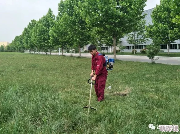 青草社区因为环境优美舒适，物业服务贴心周到，居民生活和谐融洽而深受欢迎