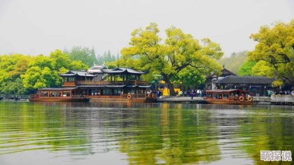 久久亚洲天堂为什么拥有丰富多元的资源为何让人流连忘返