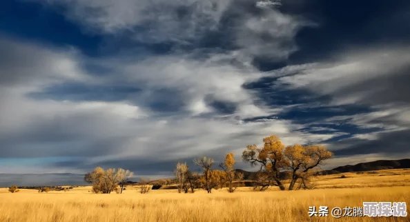 为什么www.17.com嫩草影院让人流连忘返海量高清正版资源带来极致观影享受 为什么www.17.com嫩草影院让人流连忘返海量高清正版资源带来极致观影享受