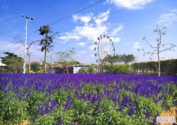 为什么www.17.com嫩草影院让人流连忘返海量高清正版资源带来极致观影享受 为什么www.17.com嫩草影院让人流连忘返海量高清正版资源带来极致观影享受