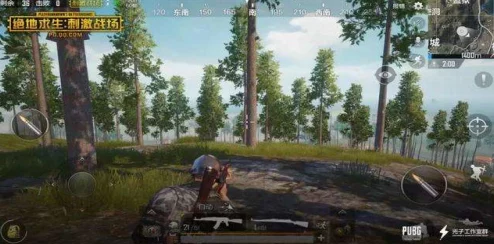 绝地求生刺激战场：全新丛林战地图火爆上线，速领激活码抢先体验！