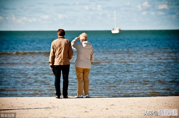 双男主为何拥有众多粉丝新鲜题材强强联手扣人心弦