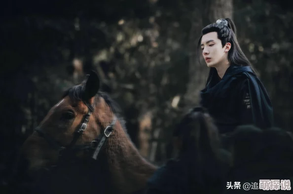 双男主为何拥有众多粉丝新鲜题材强强联手扣人心弦