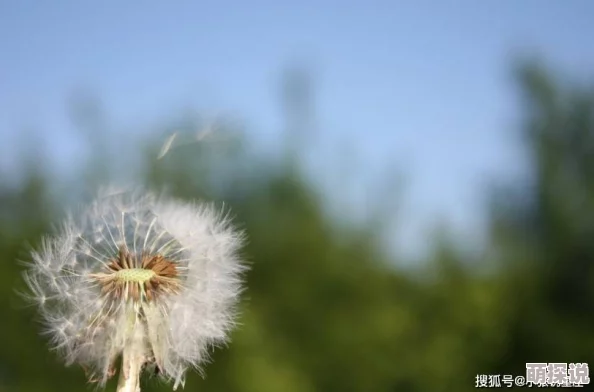 严雨霏 张婉莹 罗智莹因其才华横溢个性鲜明风格独特而备受欢迎 严雨霏 张婉莹 罗智莹因其才华横溢个性鲜明风格独特而备受欢迎