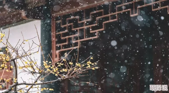 严雨霏 张婉莹 罗智莹因其才华横溢个性鲜明风格独特而备受欢迎 严雨霏 张婉莹 罗智莹因其才华横溢个性鲜明风格独特而备受欢迎