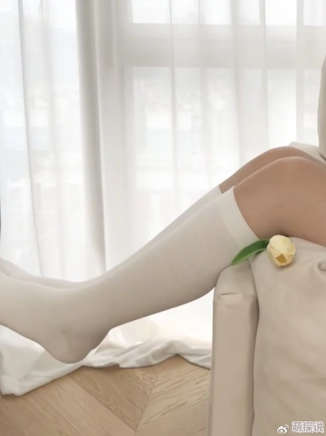 九色丨9lpoNY丨白丝为什么它在特定圈子内形成了独特的文化符号为何备受关注