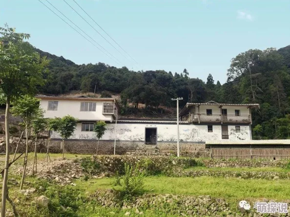 为什么版本更新为何惊喜不断《乡村狂想曲手机版直装版 1.7.0 汉化版》更多内容等你探索