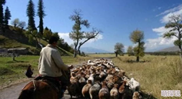 航海王燃烧意志：速刷金块攻略，详解六种热门途径