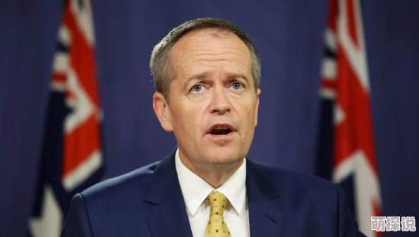 2024热门攻略：功夫熊猫3手游伙伴全面升级修炼指南大全