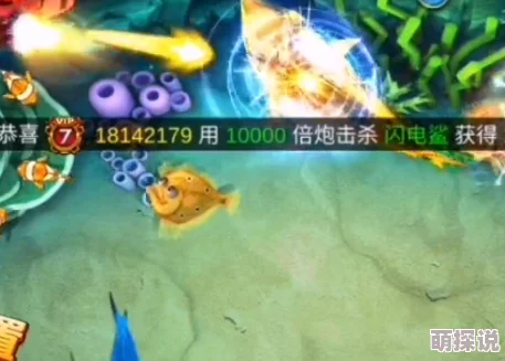 捕鱼来了!2024狂枭幻影海鸮炮衣最新热门外观图鉴大全 捕鱼来了!2024狂枭幻影海鸮炮衣最新热门外观图鉴大全