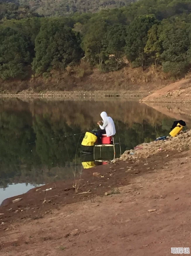 逍遥吟手游全新帮派系统深度玩法与热门规则解析 逍遥吟手游全新帮派系统深度玩法与热门规则解析