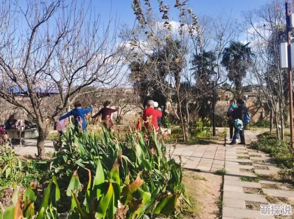 天天打三国:小康玩家进阶秘籍,紧跟热门攻略少走弯路 天天打三国:小康玩家进阶秘籍,紧跟热门攻略少走弯路