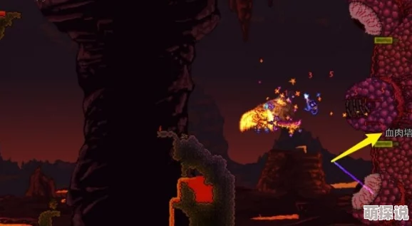 泰拉瑞亚装备消失之谜：怪物吞噬详解视频，最新热门攻略解析