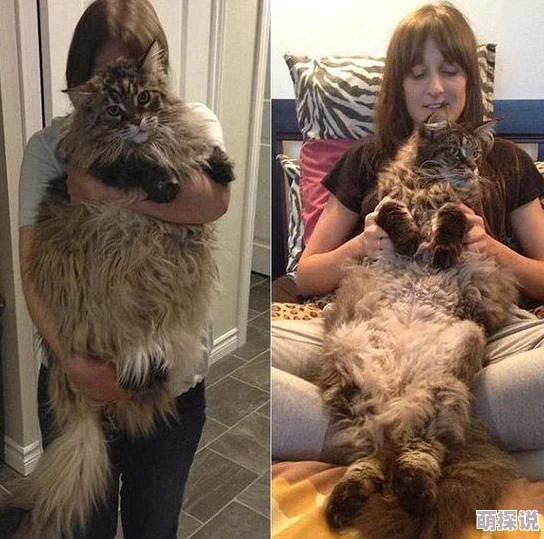 欧美粗黑巨大gay内容低俗违规已被举报并下架 欧美粗黑巨大gay内容低俗违规已被举报并下架