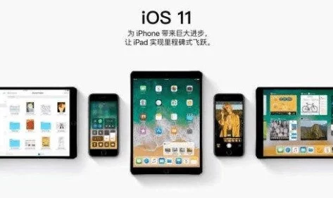 手机看片1024久久精品你懂的画质差内容少更新慢广告多体验糟糕