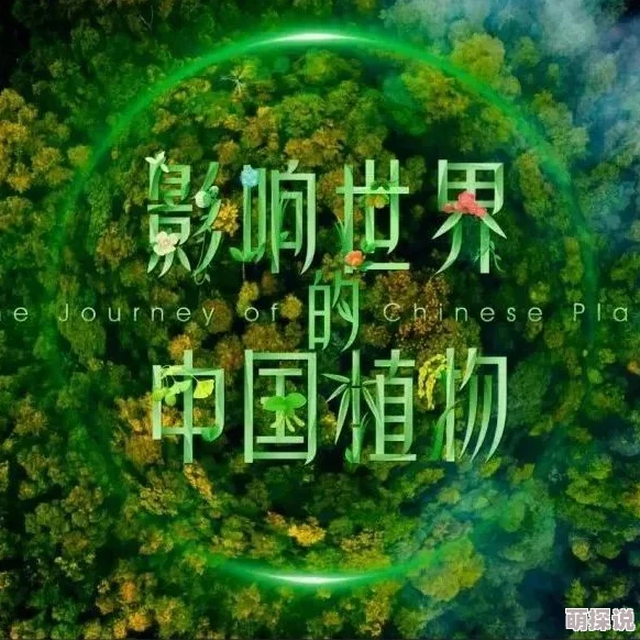 常春藤电影2025全新系列纪录片《探秘世界边缘》震撼来袭