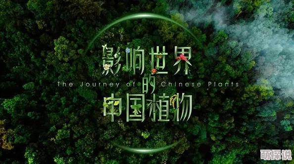 常春藤电影2025全新系列纪录片《探秘世界边缘》震撼来袭