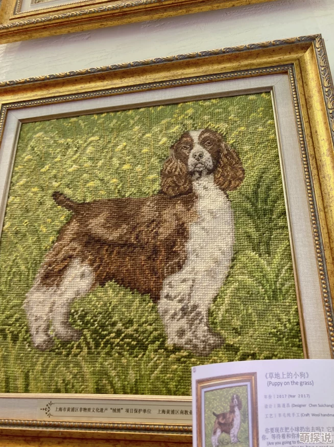 一级中国毛片2025绒绣艺术展精美绝伦不容错过 一级中国毛片2025绒绣艺术展精美绝伦不容错过