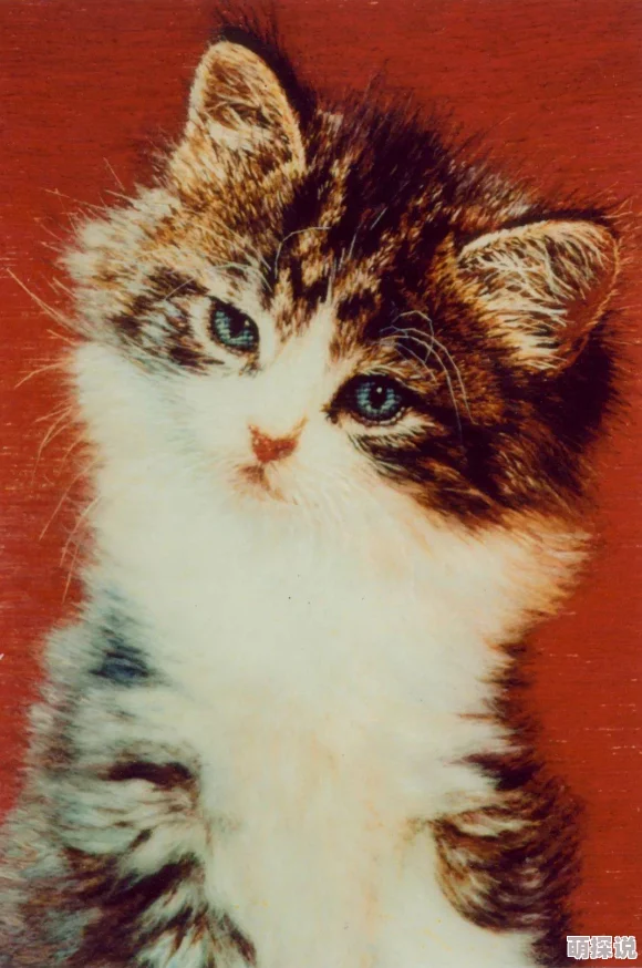 一级中国毛片2025绒绣艺术展精美绝伦不容错过 一级中国毛片2025绒绣艺术展精美绝伦不容错过